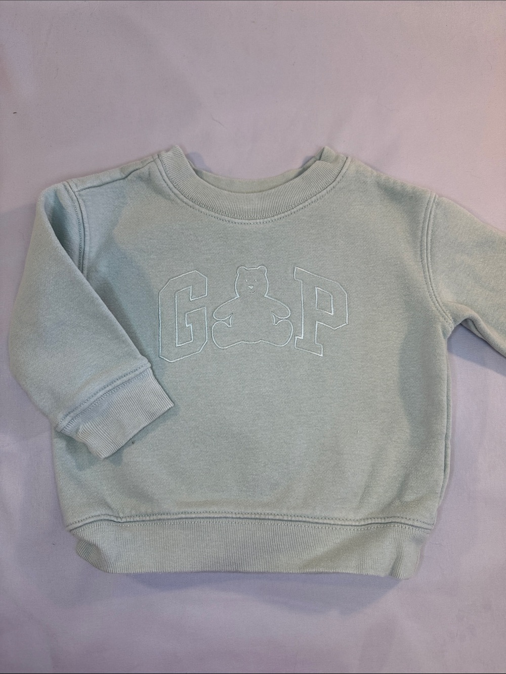 Gap - Sage green Crewneck Sweatshirt with Teddy Graphic